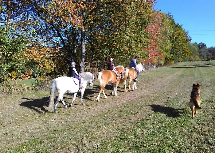 Na Farmě U Koní Appartamento Milesov (Pribram)